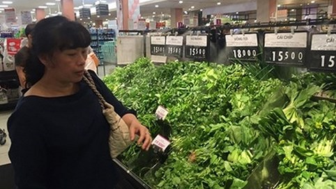 Nhập nhèm thực phẩm hữu cơ