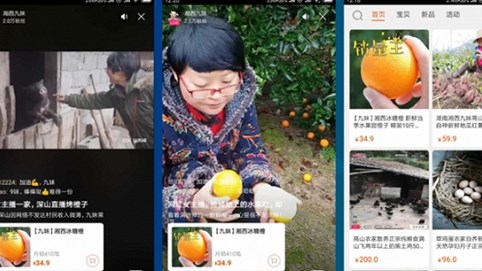 Nông dân Trung Quốc livestream, bán hết 1.000 tấn cam trong 13 ngày