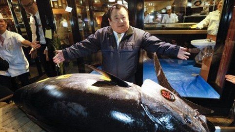 ‘Ông trùm’ sushi Nhật bỏ ra số tiền kỷ lục 3,1 triệu USD để mua một con cá ngừ