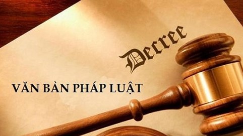 Phát hiện 395 văn bản trái luật trong năm 2018