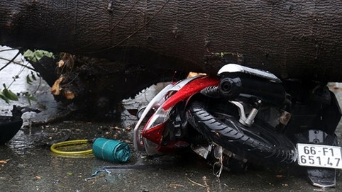 Sài Gòn mưa như trút nước, cây đổ đè người tử vong