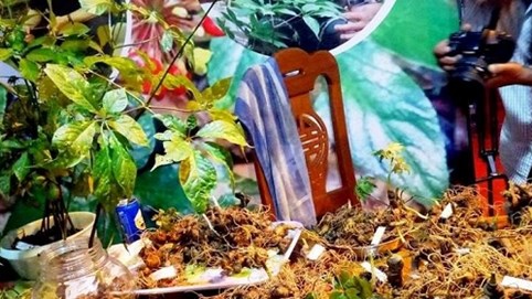 Kết thúc Lễ hội “Huyền thoại Ngọc Linh”: 200 kg sâm được bán ra