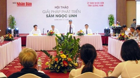 Quảng Nam: Hội thảo “Giải pháp phát triển sâm Ngọc Linh”