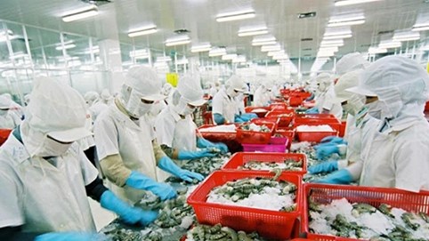 Siết quy trình để tránh 