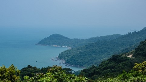 Sơn Trà sẽ giảm số lượng dự án xây dựng nhưng vẫn phát triển cân bằng với bảo tồn