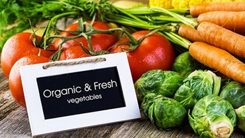 Sự khác nhau giữa thực phẩm sạch và thực phẩm hữu cơ