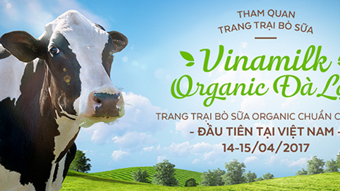 Tham gia hành trình Vinamilk Organic Farm Tour cùng gia đình ca sĩ Hoàng Bách