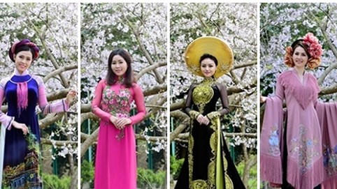 Thí sinh Hoa hậu Doanh nhân người Việt Châu Á 2017 duyên dáng với áo dài