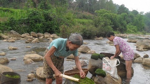 Về “thung lũng tiên” xem kỳ thảo giúp con người sống trường thọ