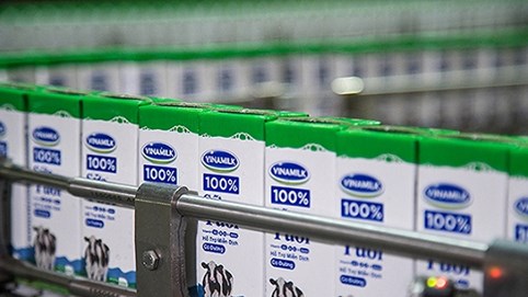 Vinamilk chốt quyền tạm ứng cổ tức 10%