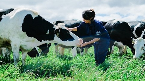 Vinamilk có hệ thống trang trại đạt chuẩn Global GAP lớn nhất châu Á