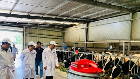 Vinamilk phối hợp với Cục Thú y xây dựng vùng chăn nuôi bò sữa an toàn dịch bệnh được quốc tế công nhận