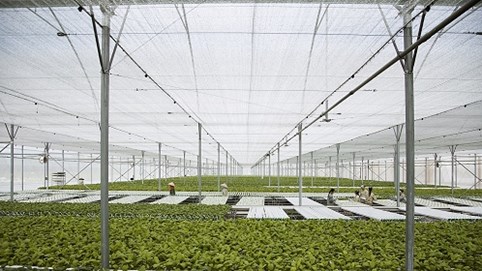 VinEco lọt Top 10 Công ty uy tín ngành thực phẩm - đồ uống 2018