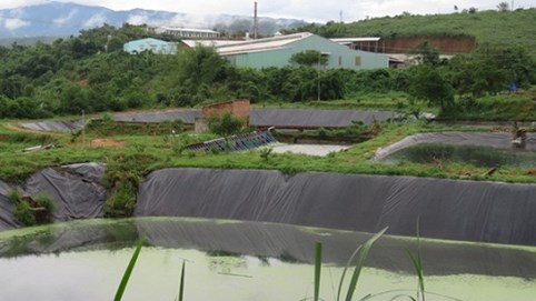 Công ty TNHH Thuận Lợi gây ô nhiễm: Vì sao Thanh tra vào cuộc mới phát hiện?