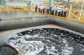 Xả thải sai quy định: Doanh nghiệp FDI tại Quảng Ninh bị phạt 280 triệu