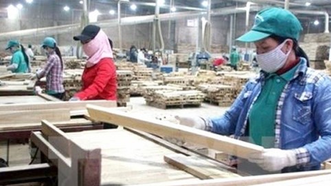 Xuất khẩu gỗ trước thách thức kim ngạch 20 tỷ USD