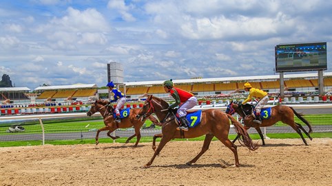  Lâm Đồng: Chuyển đổi 6.570m² đất để xây trường đua ngựa hơn 1.500 tỷ đồng