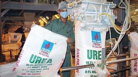 Dầu khí Miền Trung (PCE) báo lãi 2024 tăng 33% dù doanh thu giảm nhẹ