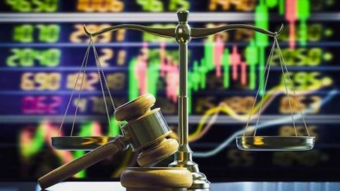 Công ty con thuộc Tập đoàn Đầu tư I.P.A bị phạt 260 triệu đồng