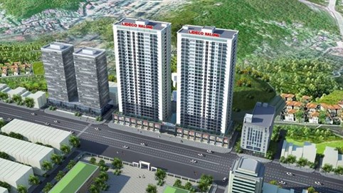 Lideco (NTL) đạt lợi nhuận kỷ lục năm 2024, bất chấp lỗ quý IV