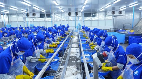 Thuỷ sản Thuận Phước (THP) lên kế hoạch kinh doanh thận trọng cho năm 2025