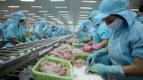 Sacombank ‘đại hạ giá’ khoản nợ gần 1.800 tỷ đồng của Thủy hải sản Sài Gòn (APT)