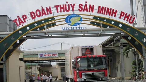 Thủy sản Minh Phú (MPC) lợi nhuận sụt giảm trong quý đầu năm 