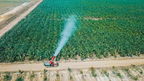 Lợi nhuận HAGL Agrico (HNG) sụt giảm trong quý I/2024