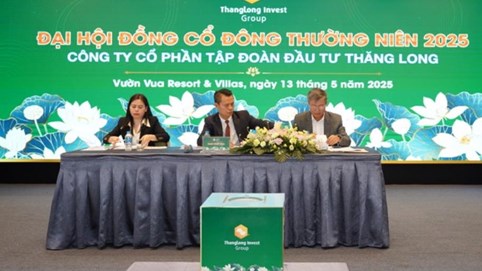 Tập đoàn Đầu tư Thăng Long (TIG) dự kiến phát hành hơn 240 triệu cổ phiếu trong năm 2025