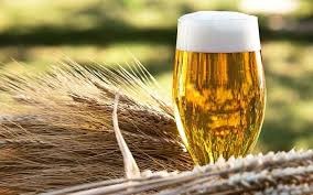 Đường Man báo lỗ hơn 50 tỷ đồng năm 2024, nợ vượt xa vốn chủ sở hữu 