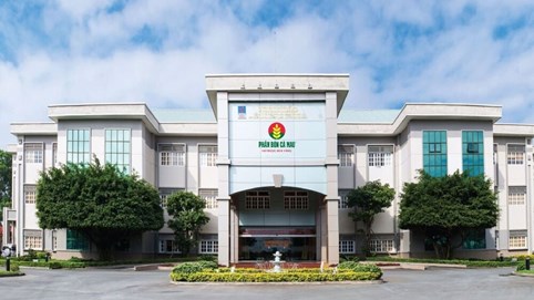 Đạm Cà Mau (DCM) thâu tóm Phân bón Hàn – Việt