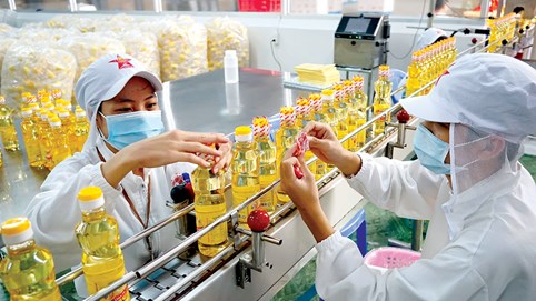 Đề xuất nhiều chính sách hỗ trợ hình thành doanh nghiệp tiên phong