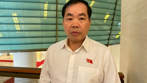 Thể chế hoá Nghị quyết số 68-NQ/TW: Có thể triển khai ngay ở tầm văn bản dưới luật