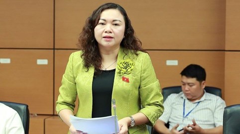 Triển khai thực hiện Nghị quyết số 66-NQ/TW: Cần tăng cường giám sát việc thi hành pháp luật