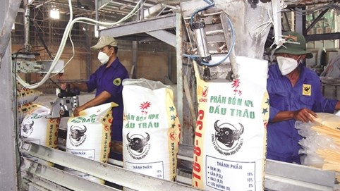 Phân bón Bình Điền (BFC) chia cổ tức cao nhất trong 6 năm dù kinh doanh sụt giảm