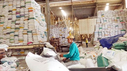 VCCI đề xuất gỡ khó cho doanh nghiệp kinh doanh xuất khẩu gạo