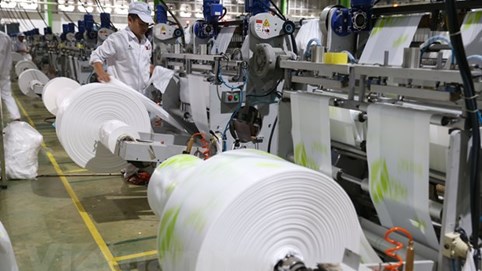 Bình Định: Xây dựng nhà máy sản xuất giấy 700 tỷ đồng tại Khu công nghiệp Nhơn Hòa