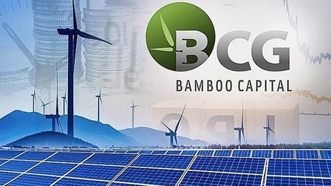 Bamboo Capital (BCG) kiện toàn nhân sự cấp cao