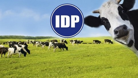 Sữa Quốc tế Lof (IDP) muốn vay ngân hàng hơn 1.200 tỷ đồng để đầu tư nhà máy và bổ sung vốn lưu động