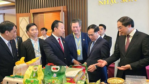 Kỳ 1: Kinh tế tư nhân Lào Cai - Động lực mới cho tăng trưởng bền vững