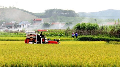 Tăng các khoản vay không tài sản đảm bảo trong lĩnh vực nông nghiệp từ ngày 1/7