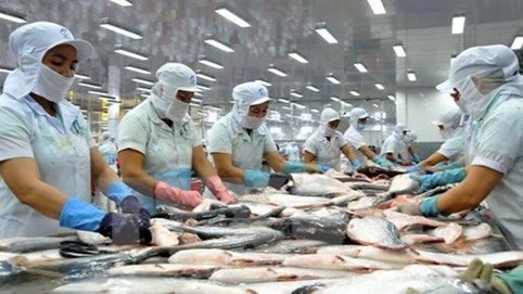 Hoa Kỳ kết luận thuế chống bán phá giá cá tra - basa phi lê đông lạnh Việt Nam