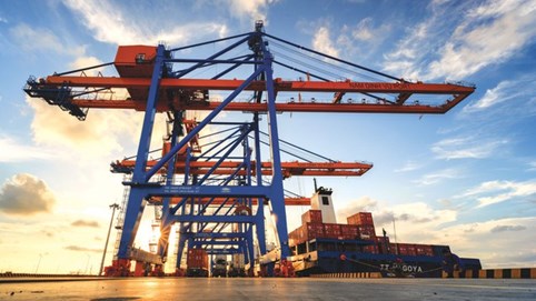 Cổ đông Gemadept (GMD) sắp nhận cổ tức năm 2024 bằng tiền, tỷ lệ 20%