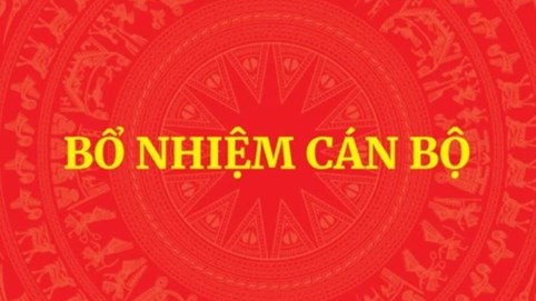 Thủ tướng bổ nhiệm nhân sự