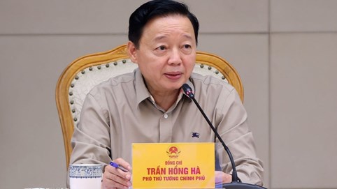 Phát triển OCOP thành thương hiệu Việt Nam đạt chuẩn quốc tế trên thị trường toàn cầu