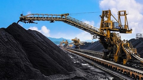 Bimico (BMC) dự kiến chi hơn 16 tỷ đồng trả cổ tức cho cổ đông