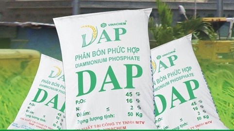 DAP - Vinachem (DDV) lãi ròng 275 tỷ đồng sau 6 tháng đầu năm 2025
