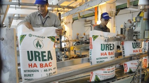 Đạm Hà Bắc (DBH) lãi 42 tỷ đồng trong quý II/2025 nhờ giá ure tăng 