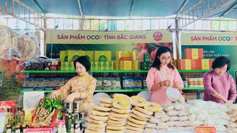 VIETNAM OCOPEX 2025: Thúc đẩy văn hóa vùng miền, đưa sản phẩm OCOP Việt Nam vươn tầm thế giới
