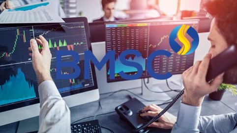 Chứng khoán Bảo Minh (BMS) muốn chào bán 125 triệu cổ phiếu riêng lẻ, huy động 1.250 tỷ đồng